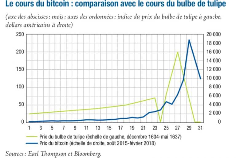 Comparaison cours Bitcoin avec cours tulipe