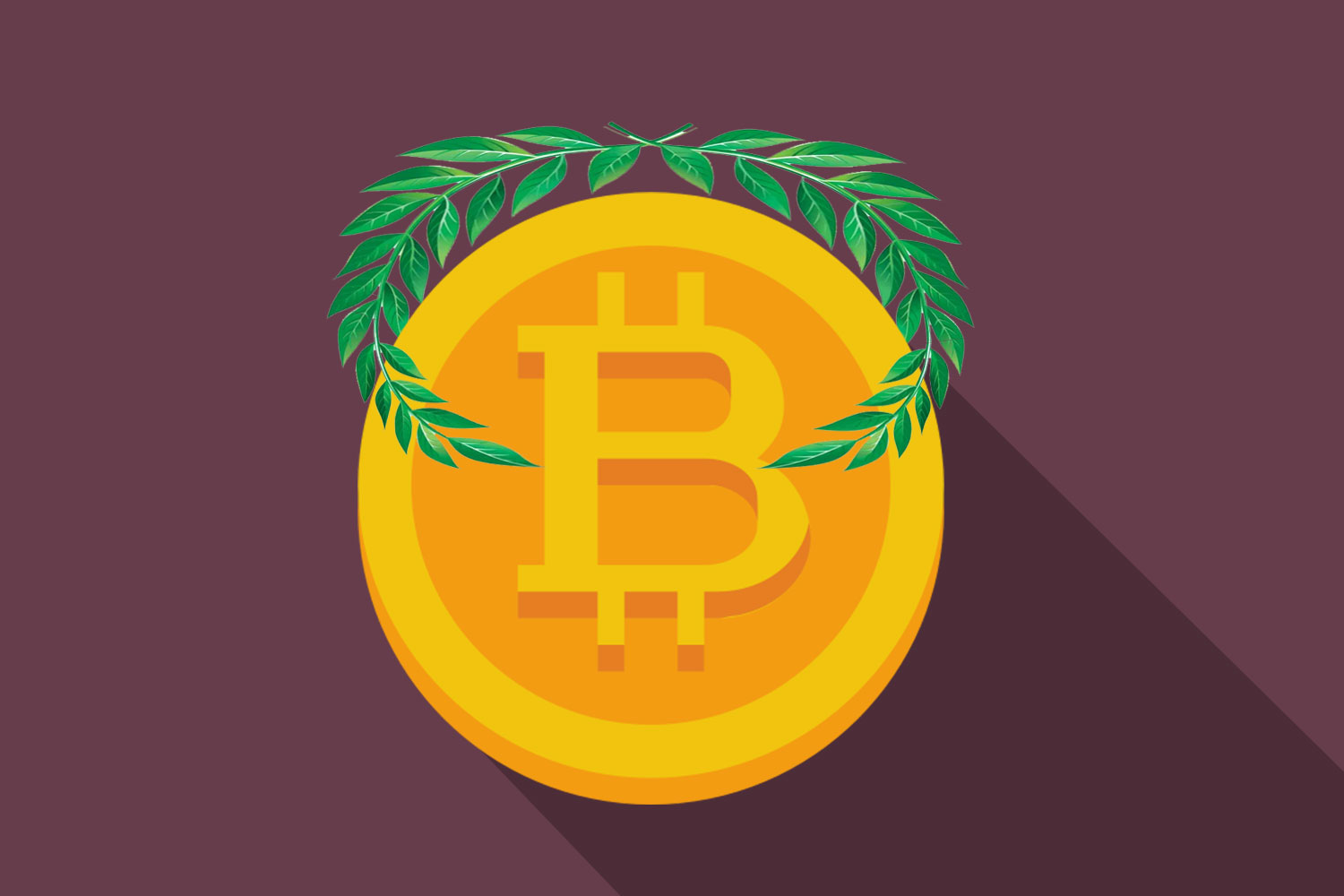 Quelles sont les raisons du succès du Bitcoin ?