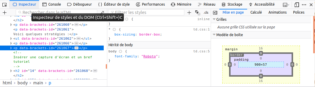 Inspecteur de Firefox